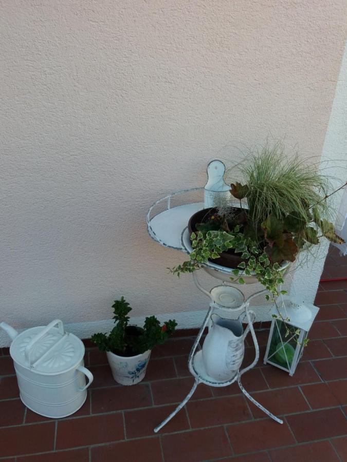 Wohnung Mit Charme In פינסדורף מראה חיצוני תמונה