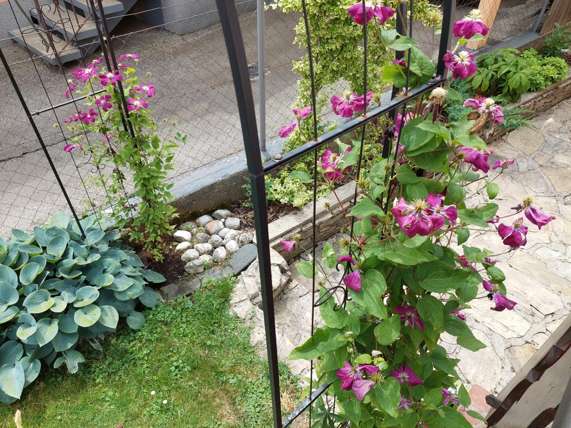 Wohnung Mit Charme In פינסדורף מראה חיצוני תמונה